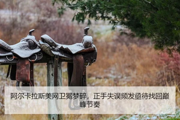 a-er-ka-la-si-mei-wang-wei-mian-meng-sui-zheng-shou-shi-wu-pin-fa-ji-dai-zhao-hui-dian-feng-jie-zou-2-804.jpg