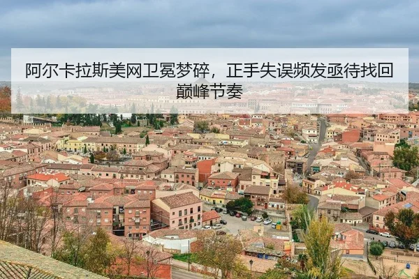 a-er-ka-la-si-mei-wang-wei-mian-meng-sui-zheng-shou-shi-wu-pin-fa-ji-dai-zhao-hui-dian-feng-jie-zou-3-260.jpg