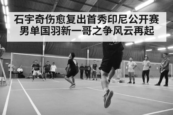 badminton match arena
